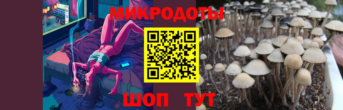 Галлюциногенные грибы Psilocybe  Псилоцибиновые грибы ЛСД  Вход с VPN  Чайковский 